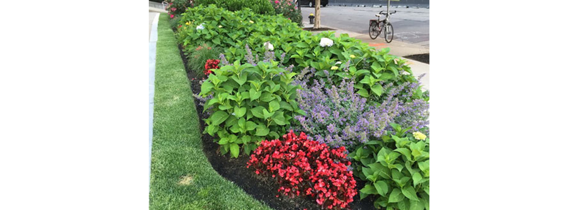 Summer perennial border with warm-season color.