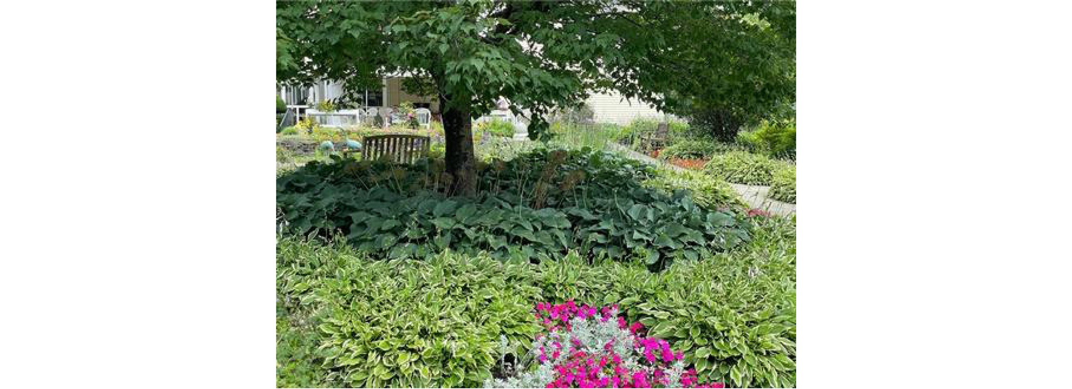 Garden seating set within lush planting.