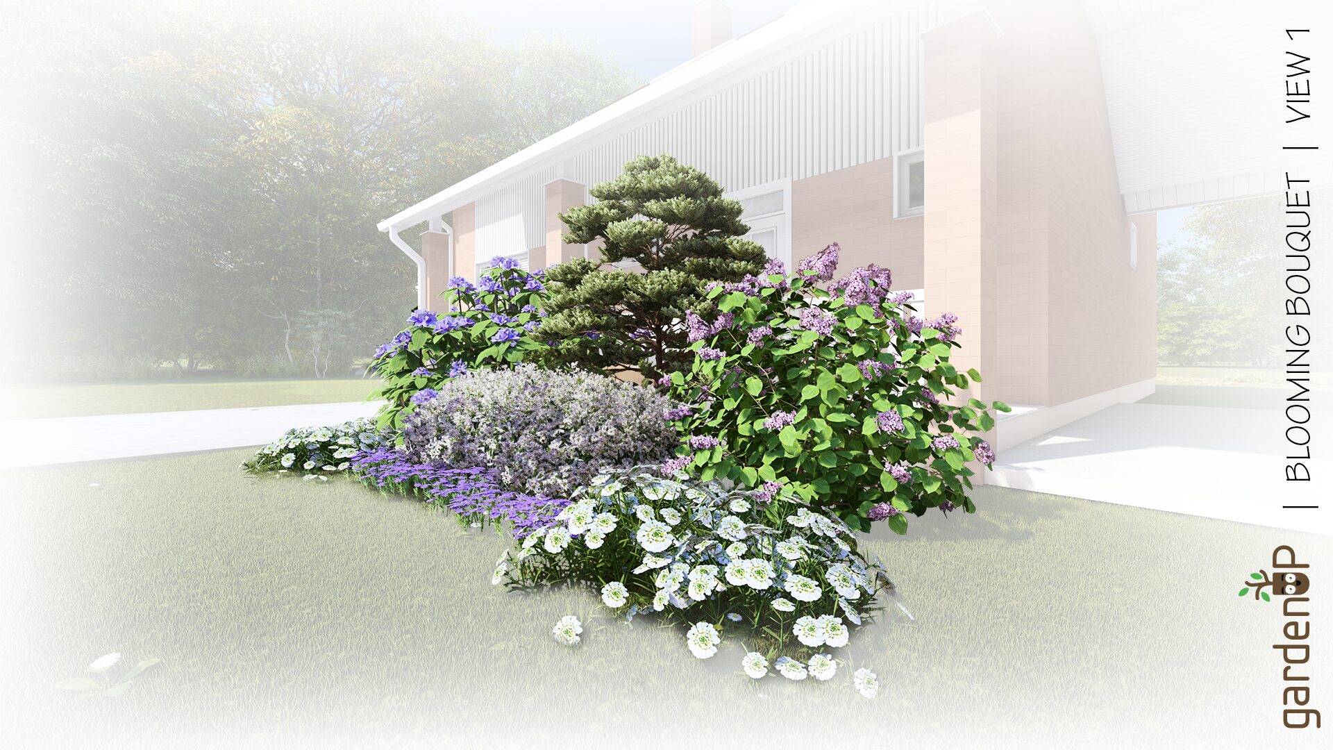 Flowering shrubs in a mixed garden border.