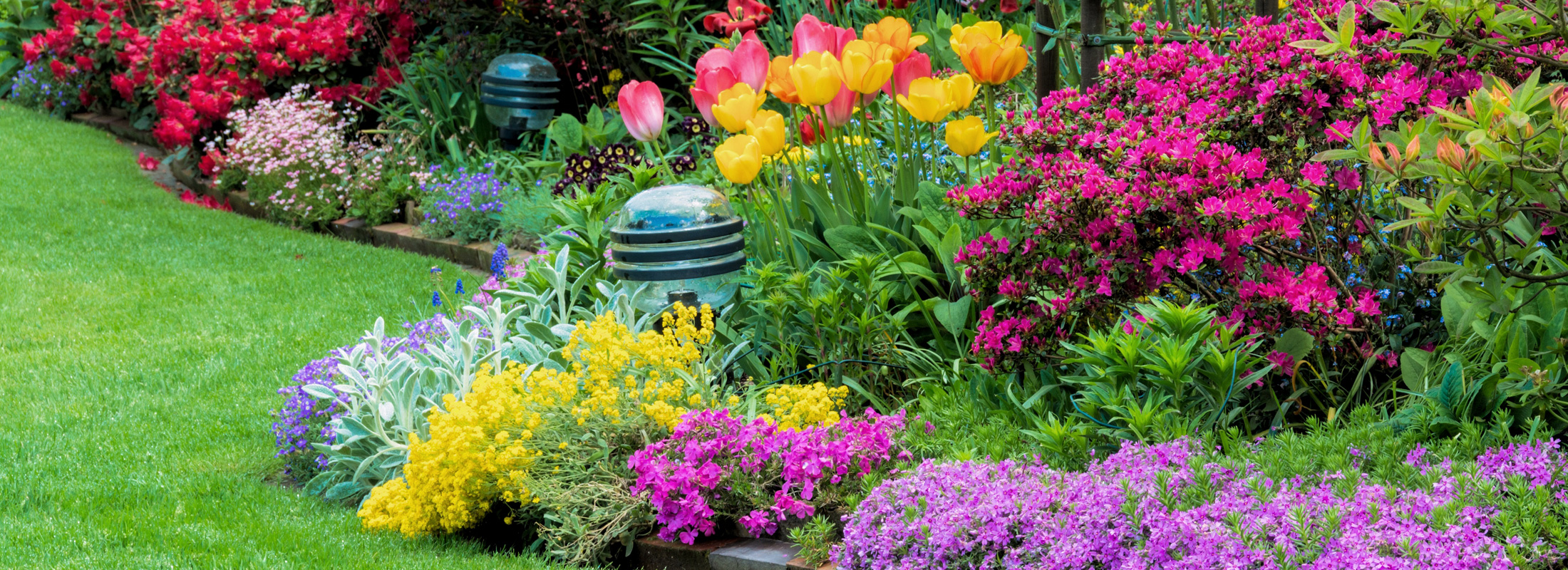 Flowering pollinator border.