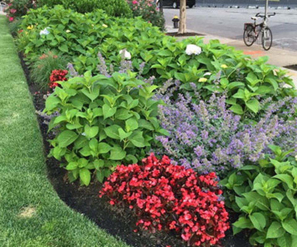 Summer perennial border with warm-season color.