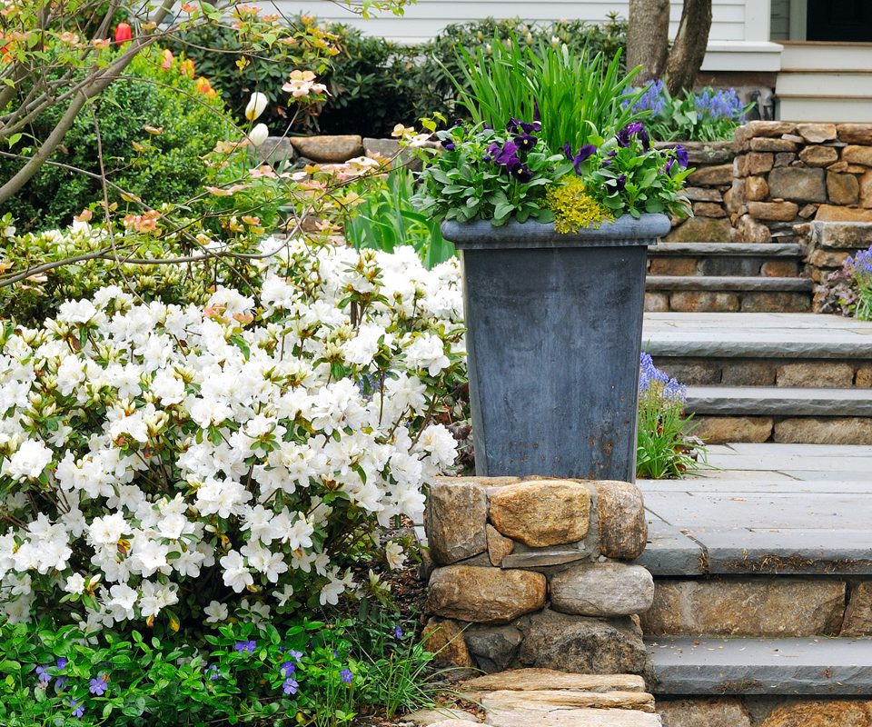 Flowering shrubs and spring color around a home garden.