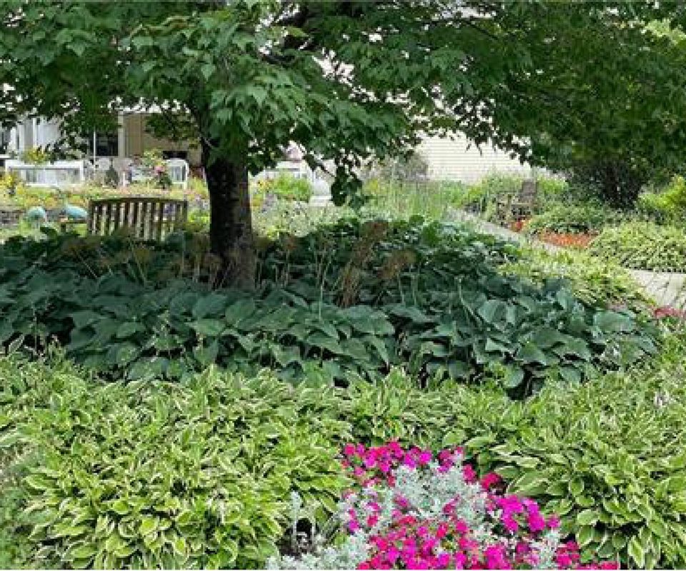 Garden seating set within lush planting.