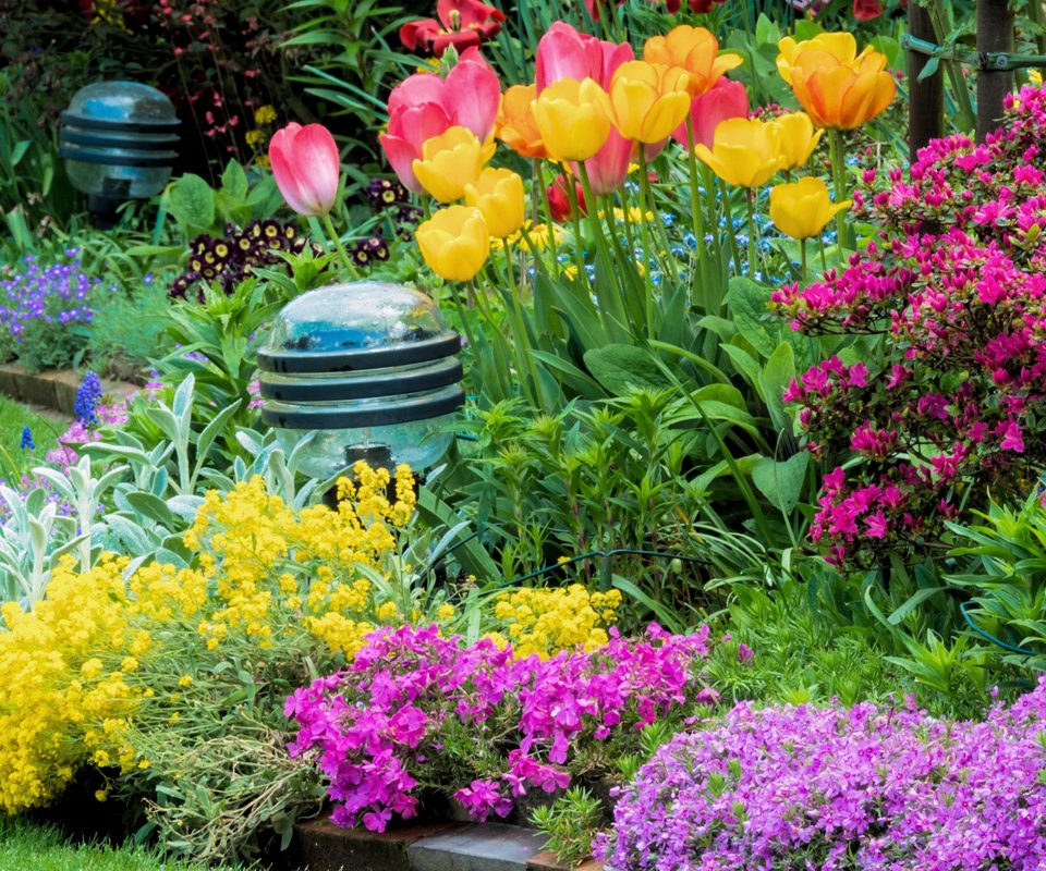 Flowering perennial border that supports pollinators.