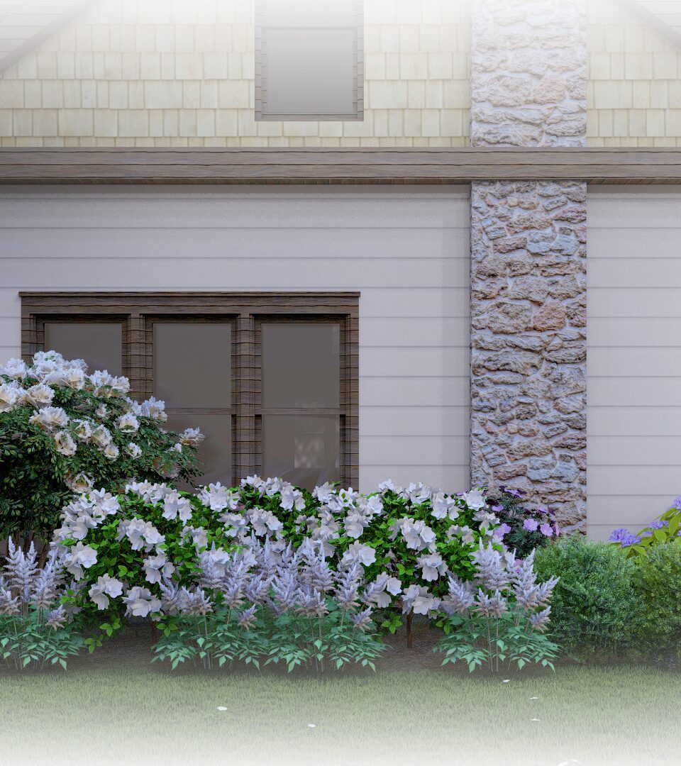 Diverse home garden planting.