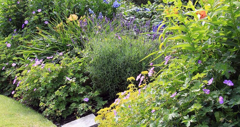 Garden bed beside a home, ready to measure and plan.