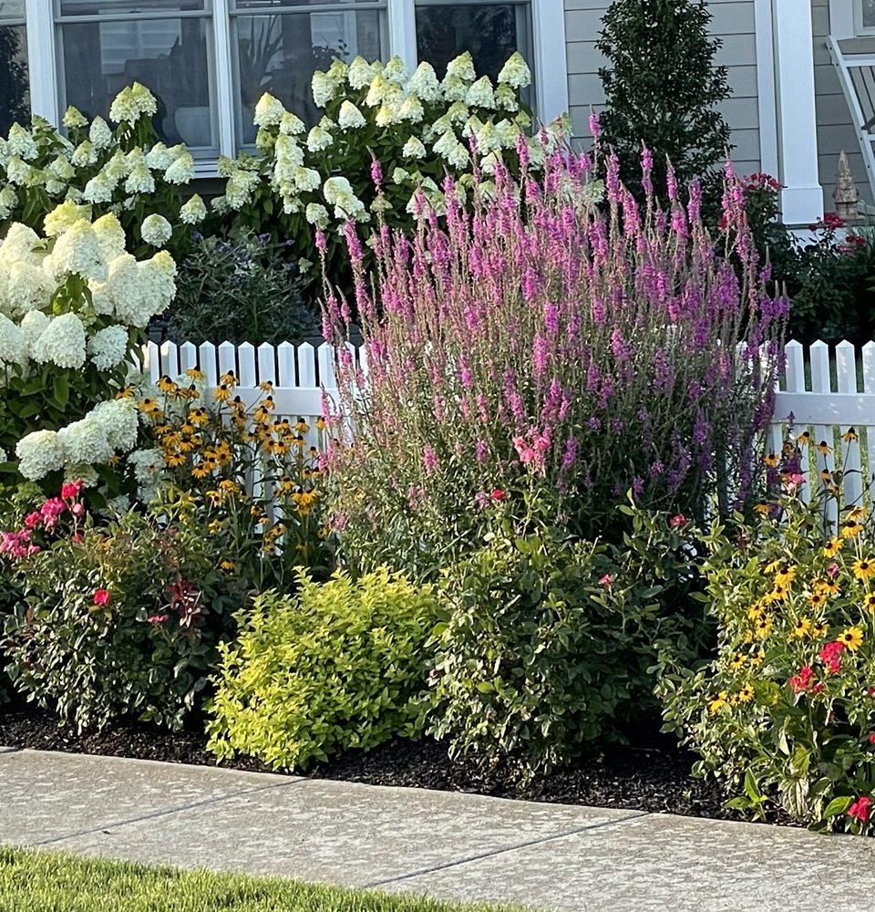 Finished garden border showing coordinated plant layers.
